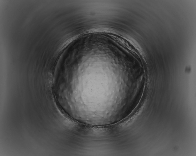 X0000089960849200707131535