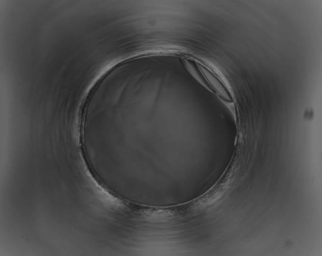 X0000089960851200707131536