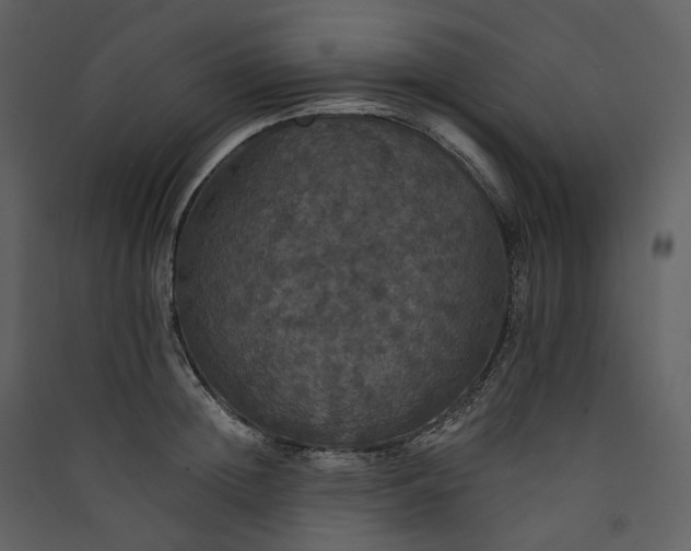 X0000089960852200707131536