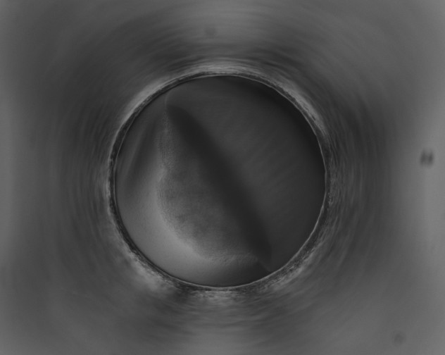X0000089960853200707131536