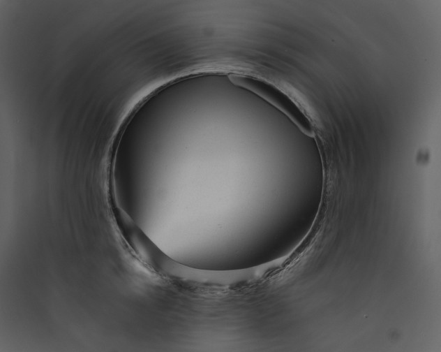 X0000089960854200707131536