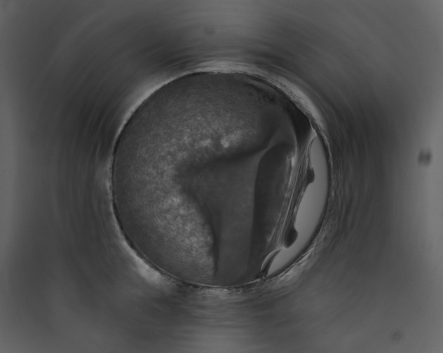 X0000089960855200707131536