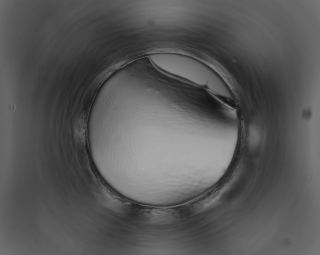 X0000089960857200707131536