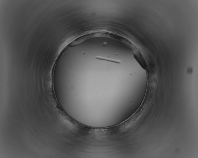 X0000089960858200707131536