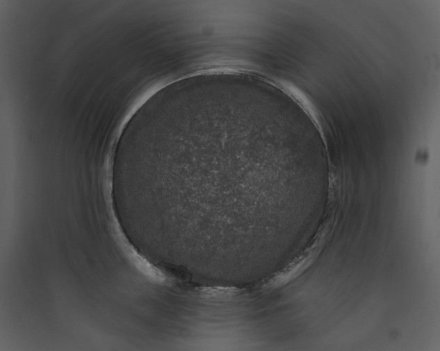 X0000089960859200707131536