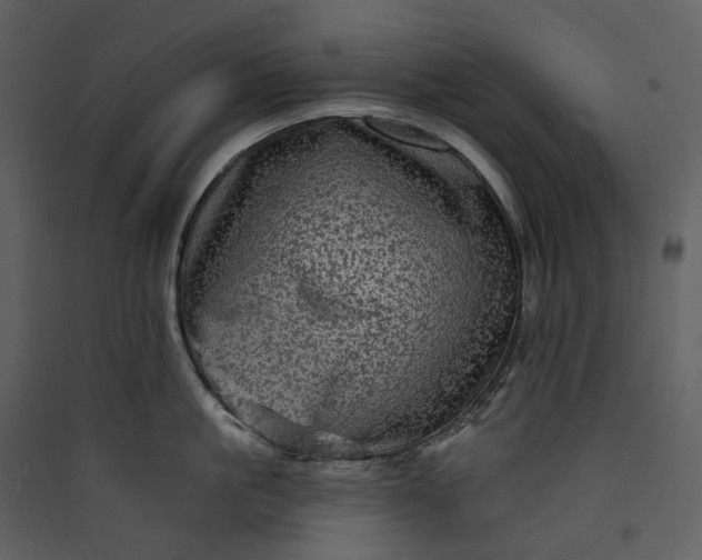 X0000089960861200707131536