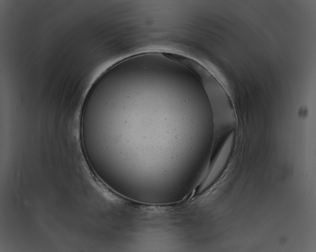 X0000089960862200707131536