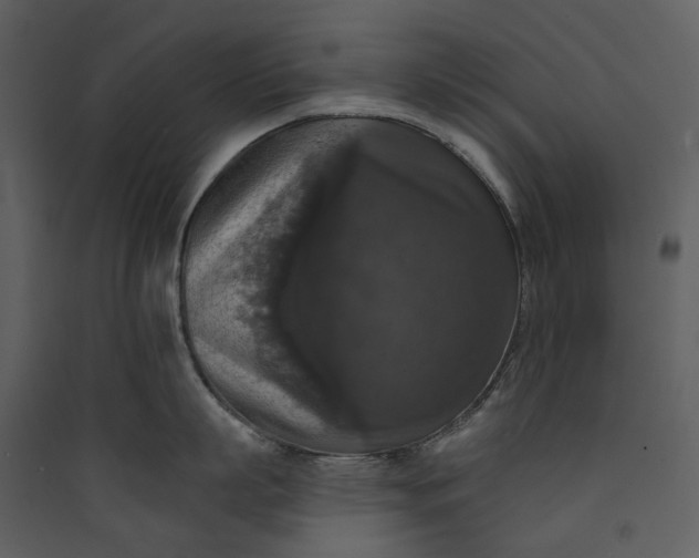 X0000089960863200707131536