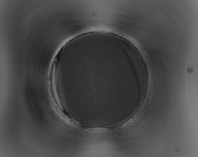 X0000089960864200707131536