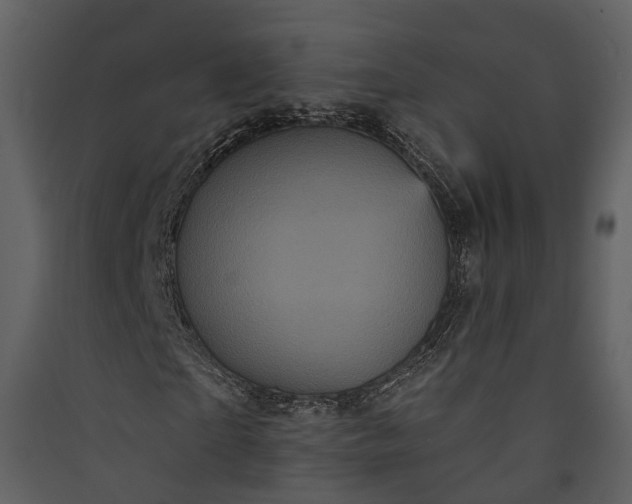 X0000089960865200707131535