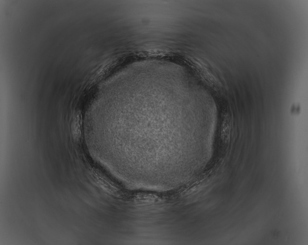 X0000089960866200707131535