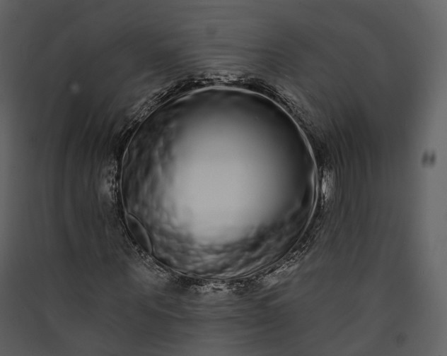 X0000089960867200707131535