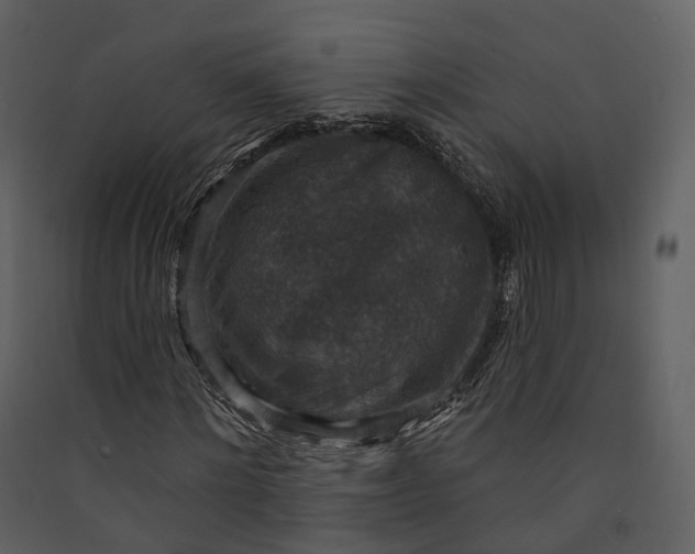 X0000089960868200707131535