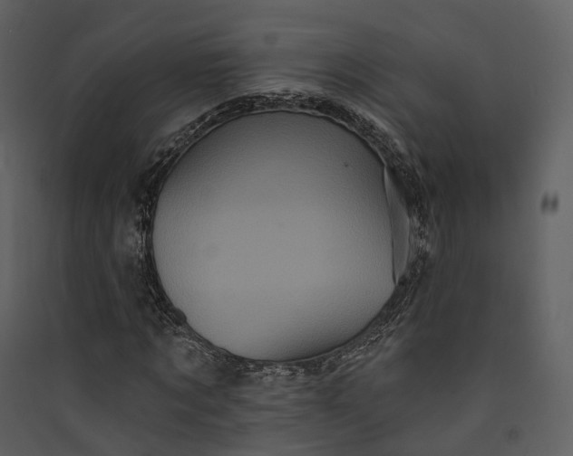 X0000089960869200707131535