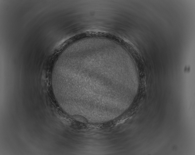 X0000089960870200707131535