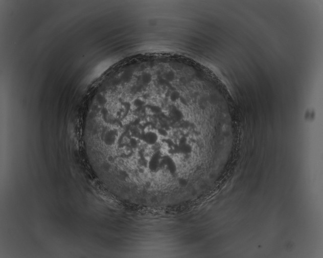 X0000089960871200707131535