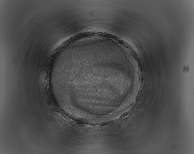 X0000089960872200707131535