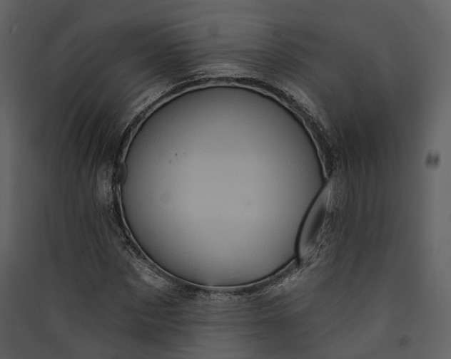 X0000089960873200707131535