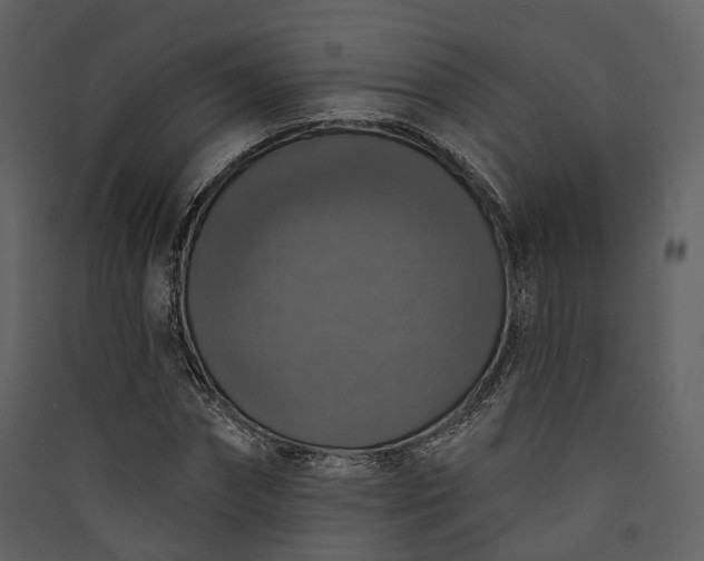 X0000089960874200707131535