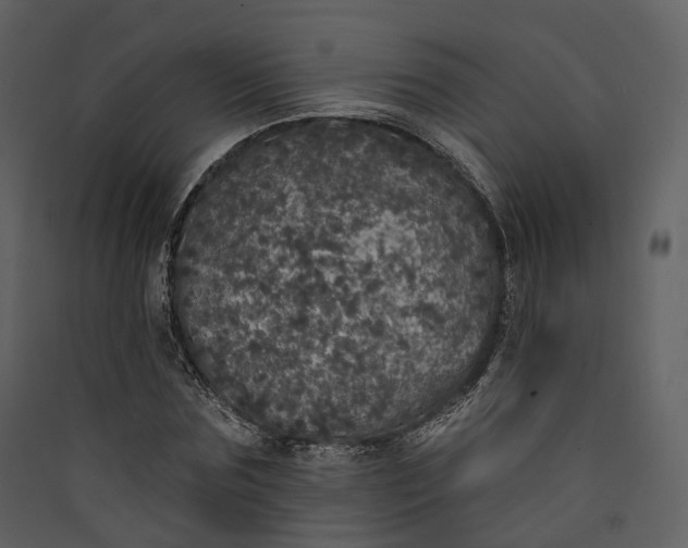 X0000089960875200707131535