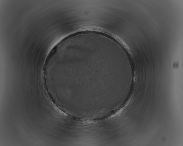 X0000089960877200707131535