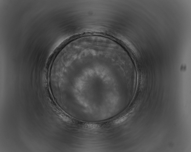 X0000089960878200707131535