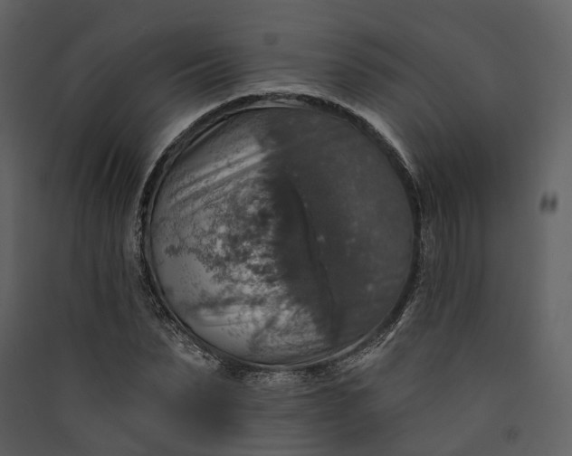 X0000089960879200707131535