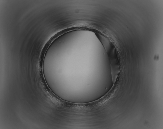 X0000089960880200707131535