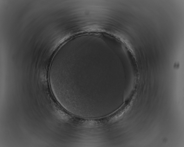 X0000089960881200707131535