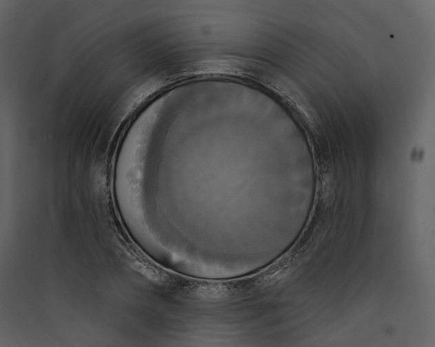 X0000089960882200707131535