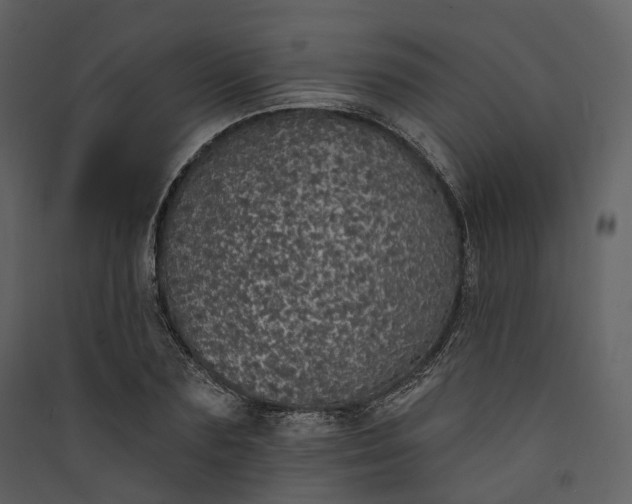 X0000089960883200707131535