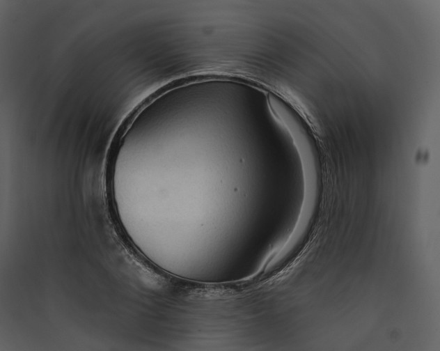 X0000089960884200707131535