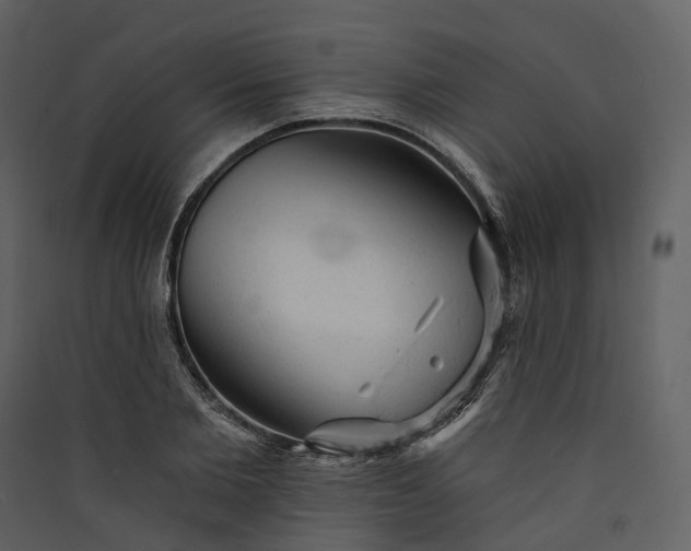 X0000089960885200707131535