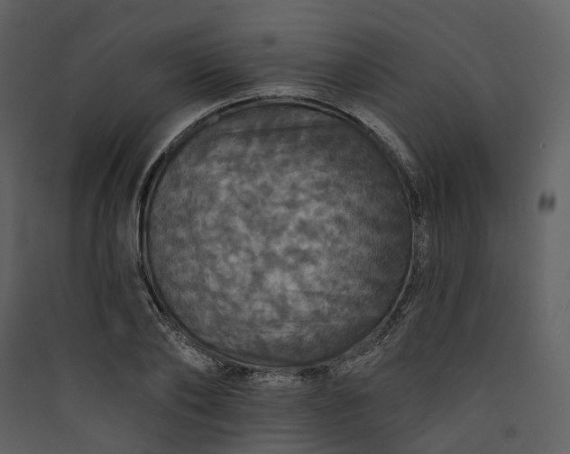 X0000089960886200707131535