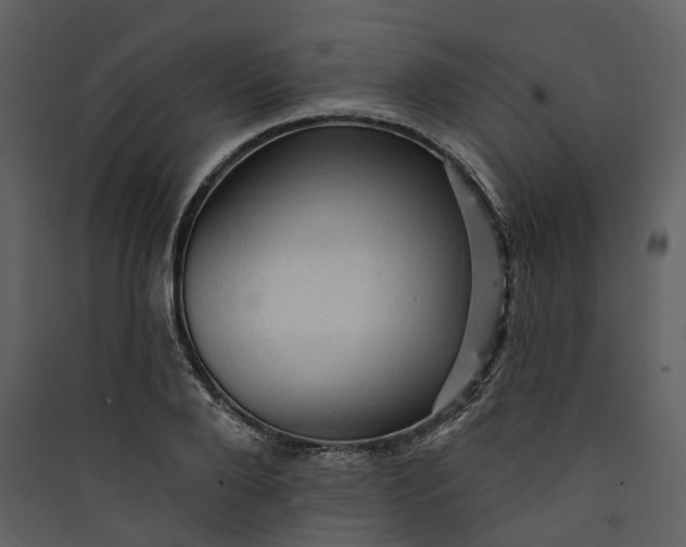 X0000089960888200707131535