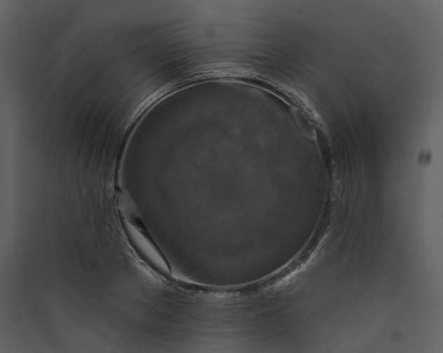 X0000089960889200707131535