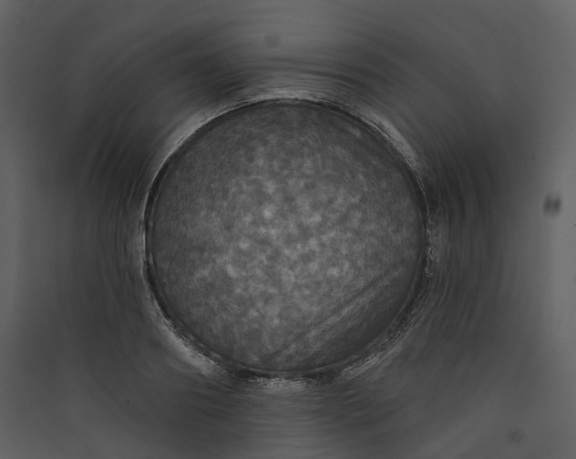 X0000089960890200707131535