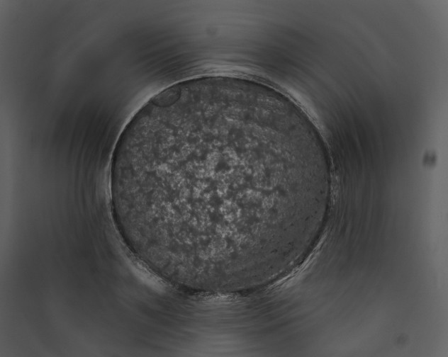 X0000089960891200707131535