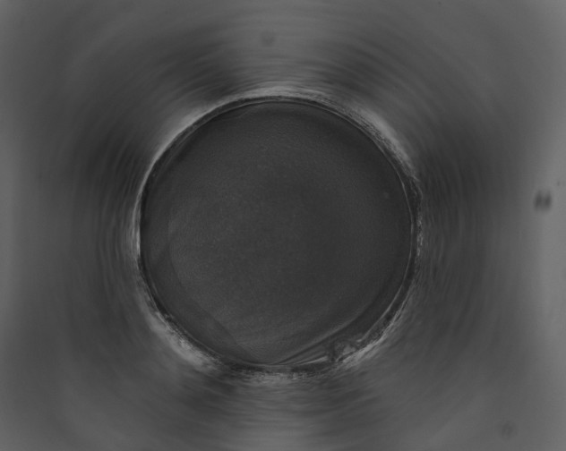X0000089960892200707131535