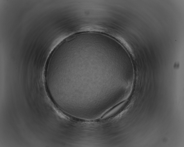 X0000089960893200707131535