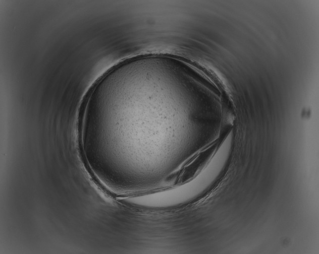 X0000089960894200707131535