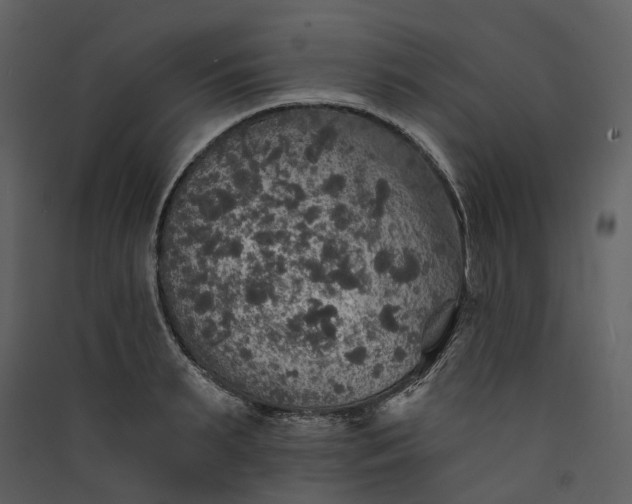 X0000089960895200707131535