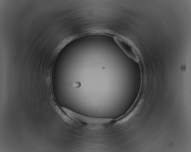 X0000089960897200707131535