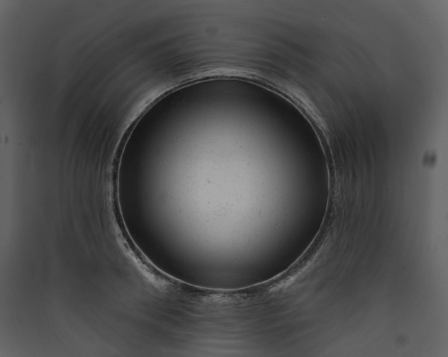 X0000089960898200707131534