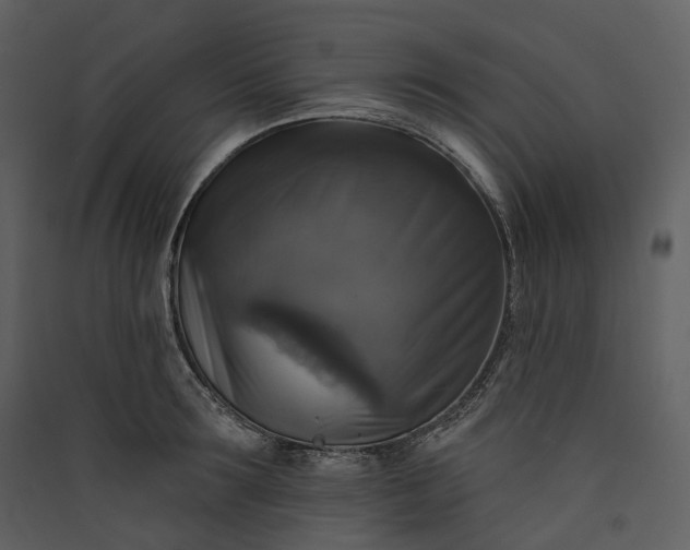 X0000089960899200707131534
