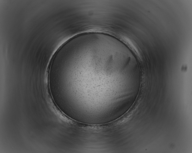 X0000089960900200707131534