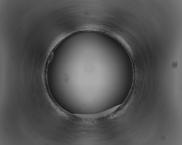 X0000089960901200707131534