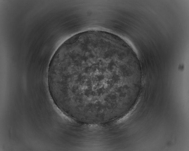 X0000089960903200707131534