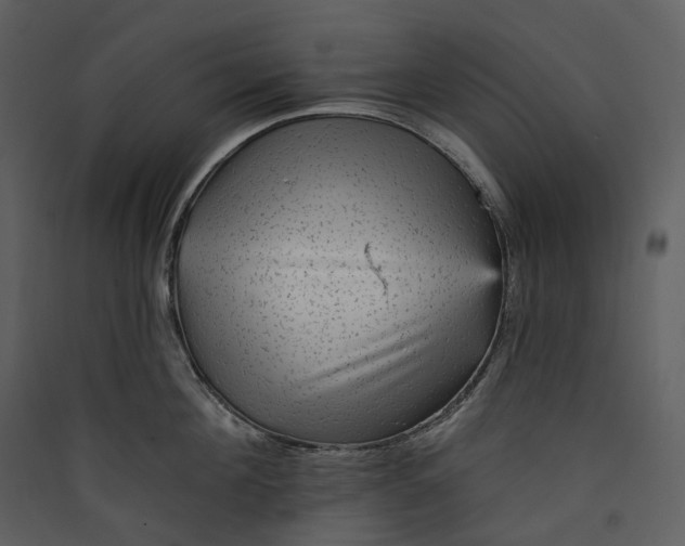 X0000089960908200707131534