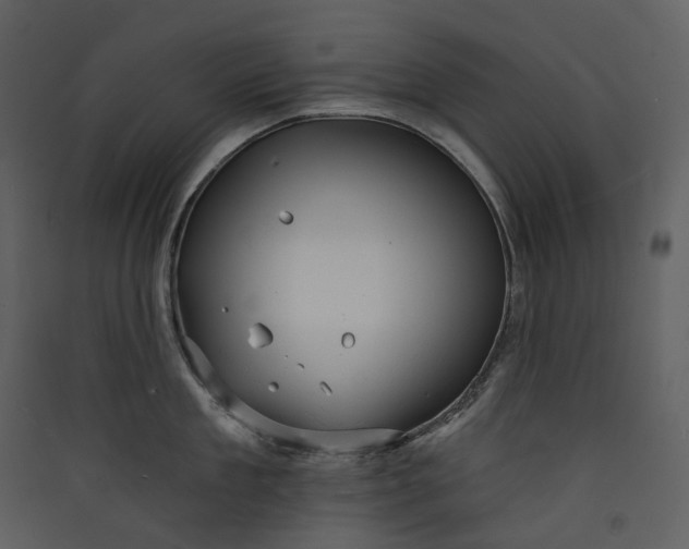 X0000089960909200707131534